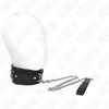 SCHWERES HALSBAND MIT 65 CM LEINE MODELL 4 VERSTELLBAR 36,5-50 CM x 5 CM