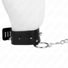 HALSBAND MIT SILBERNEN NIETEN UND 65 CM LEINE MODELL 2 VERSTELLBAR 36-43 CM X 5 CM